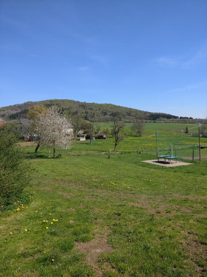 Ferienhaus Am Sauerbrunnen Daun Extérieur photo